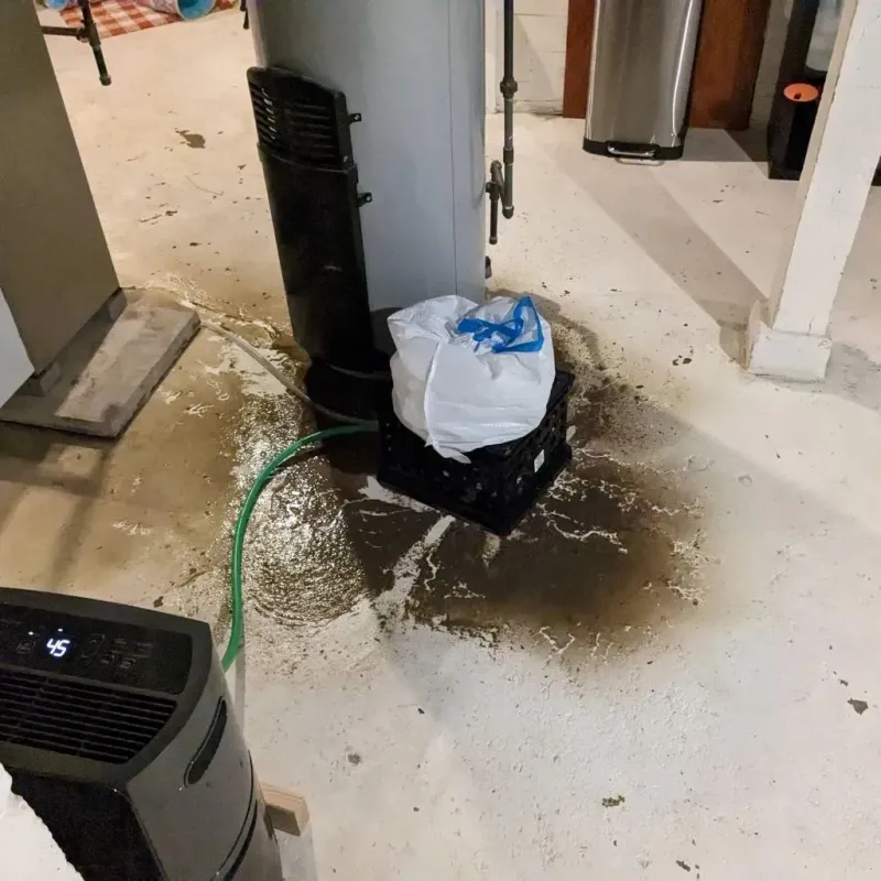 Sewage Backup Cleanup Service in Drew County, AR